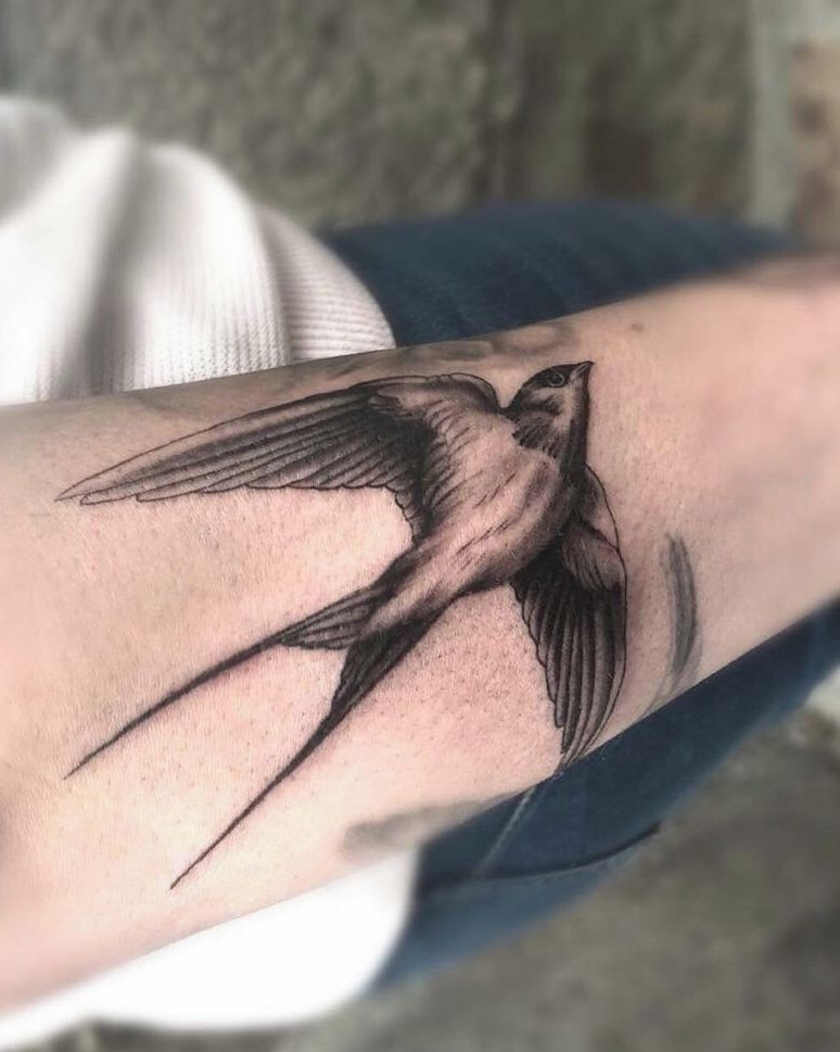 Hirondelle tatouage détails - Tatoueur Le Mans